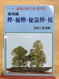盆栽の育て方・作り方