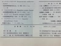 佳香蝶　Vol.47