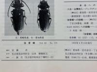 佳香蝶　Vol.44
