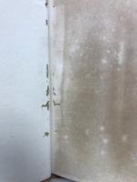 人情亡国論
