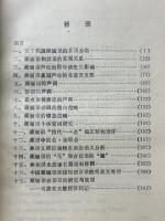 蔵緬語新論