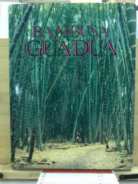 Bambusa guadua