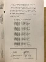 郡家今城遺跡発掘調査報告書 : 旧石器時代遺構の調査
