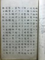 神効丹秘録