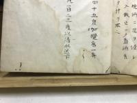 神効丹秘録
