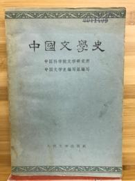 中国文学史　二