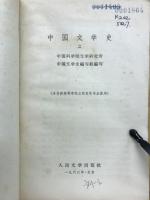 中国文学史　二