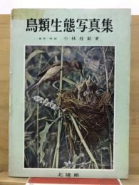 鳥類生態写真集
