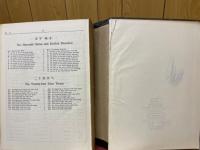 漢英詞典