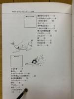 イルカ　ソングブック　ギター弾き語り