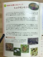 ヒョウモンモドキ : 湿地を舞うチョウとその生息環境の保全