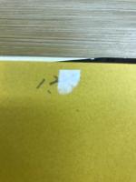 師長ロマン : 琵琶の名器を尋ねて二十五年