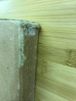 国歌の胎生及び発達