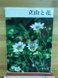 立山と花