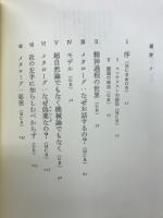 天使のおそれ : 聖なるもののエピステモロジー