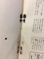 1936 : 次代工作のパイロット