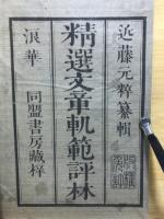 精選文章規範評林