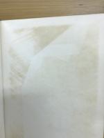 詞林往来