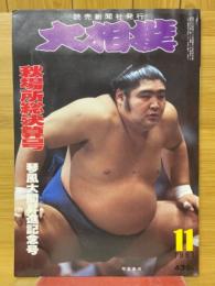 大相撲　1981年11月号　秋場所総決算号