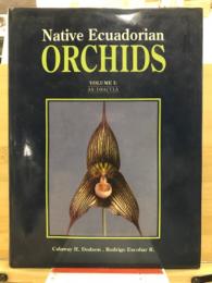 Native ecuadorian orchids