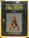 Native ecuadorian orchids