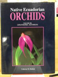 Native ecuadorian orchids