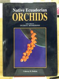 Native ecuadorian orchids