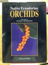 Native ecuadorian orchids