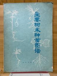 主要樹木種苗図譜