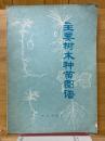 主要樹木種苗図譜