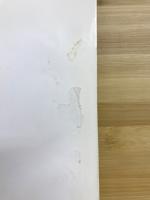 君は燃えているか 　内弟子修行中の若者の為に