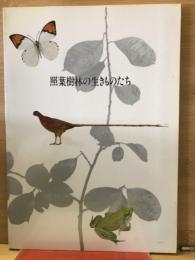 照葉樹林の生きものたち