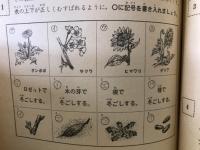 4年の科学 1967年2月