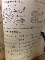 4年の科学 1966年6月