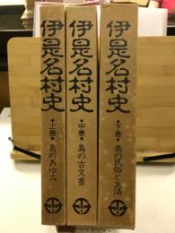伊是名村史