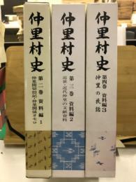 仲里村史