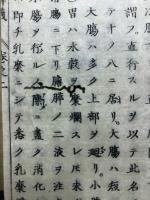 和蘭内景医範提綱