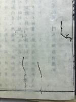 和蘭内景医範提綱