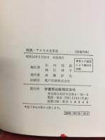 概観アメリカ文学史