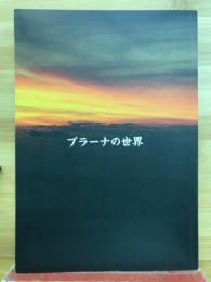 プラーナの世界