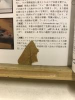 養殖