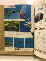 フィッシュマガジン