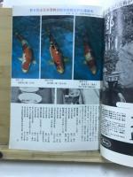フィッシュマガジン