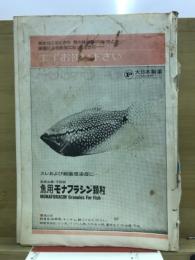 フィッシュマガジン