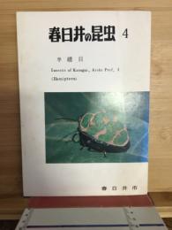 春日井の昆虫