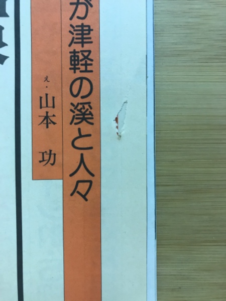 f-429※9 フィッシングの本 釣り餌大全 著者/竹井誠 昭和54年8月