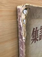 仏蘭西詩集 続
