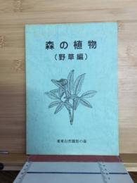 森の植物　野草編