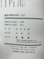 歴史の流れの中に : 最後の内務大臣安倍源基