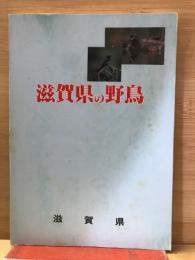 滋賀県の野鳥